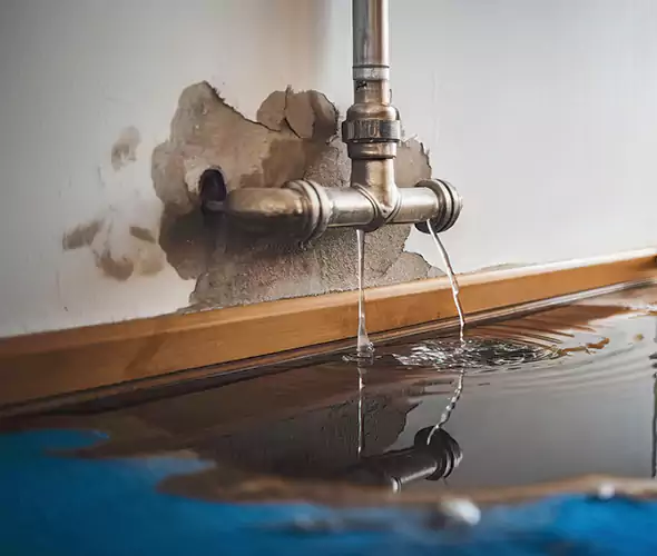 Professional Water Damage Restoration Experts in Lake Forest, CA — Fast, Reliable & Certified