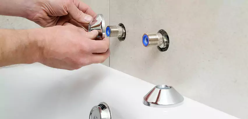 Bathtub Faucet Diverter Replacement in Lake Forest