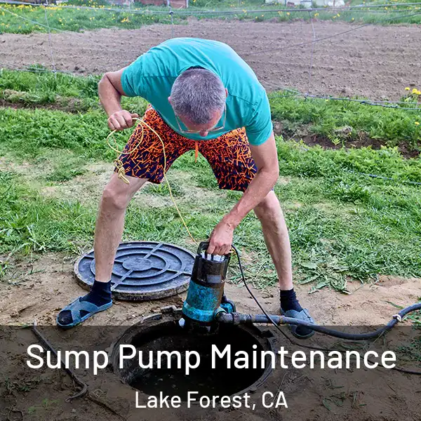  Sump Pump Maintenance Lake Forest, CA